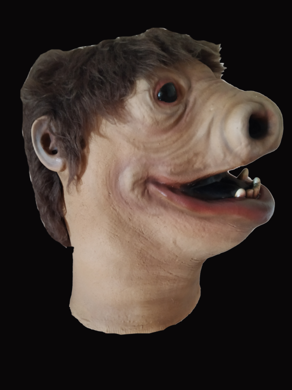 Snaggletoh