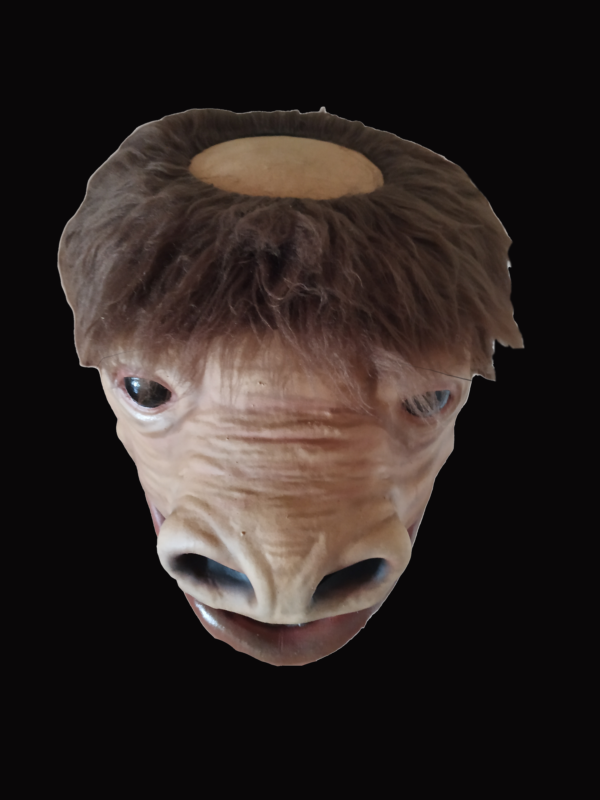 Snaggletoh